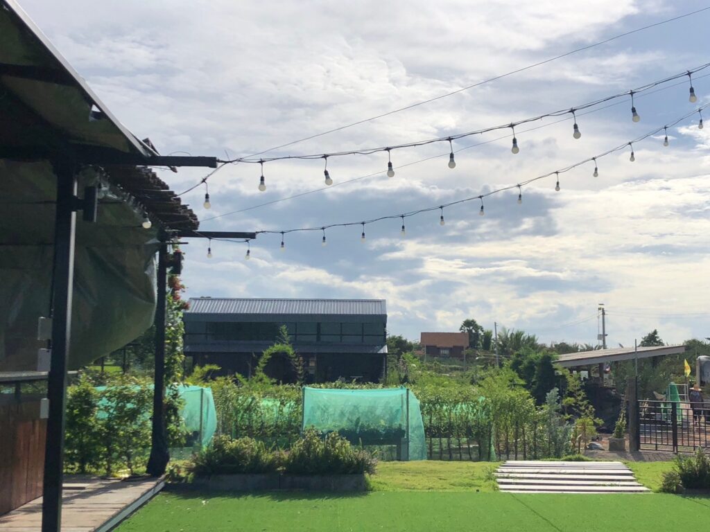Green Space 1